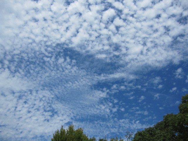c0152002_17120401.jpg