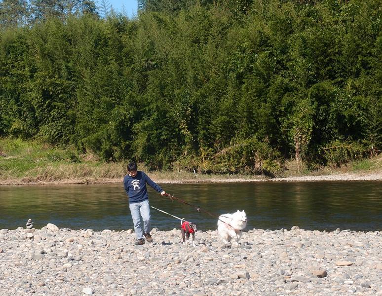 e0018604_20100448.jpg
