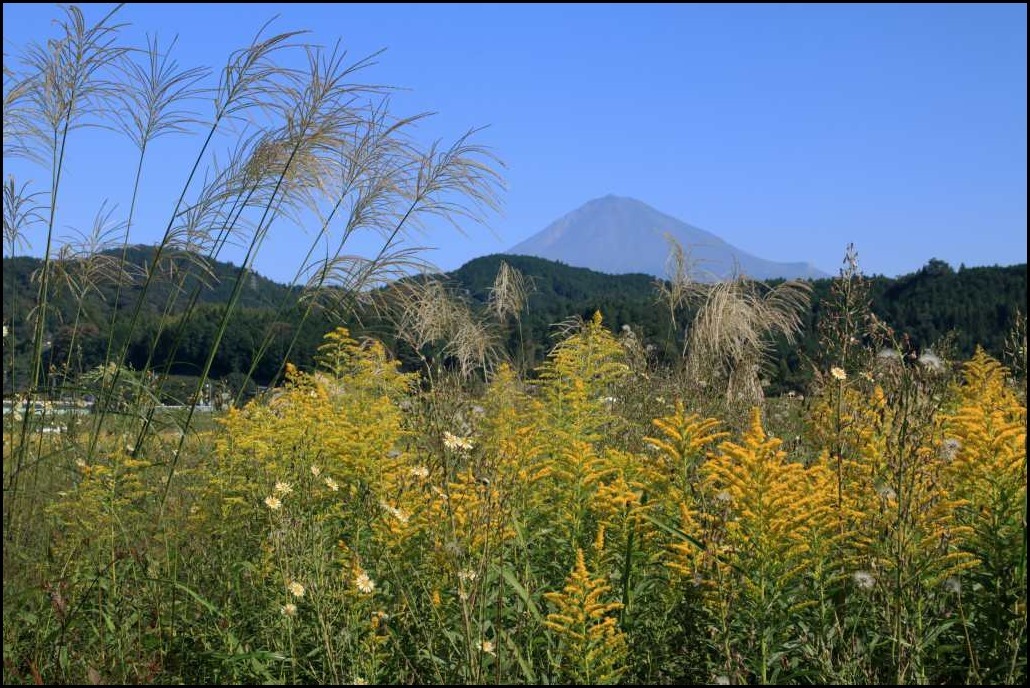 a0188405_22133611.jpg