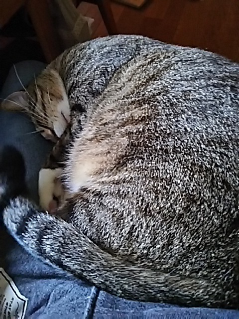 f0316507_15124903.jpg