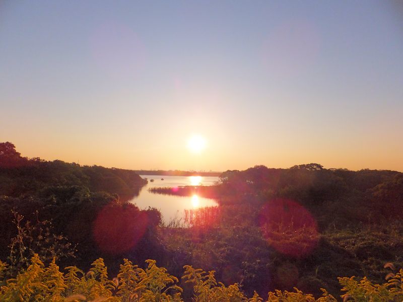 b0000209_22170529.jpg