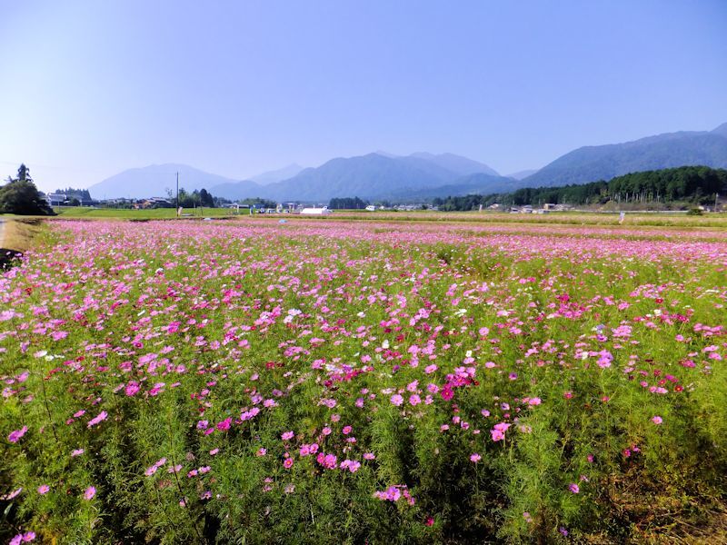 b0000209_22174470.jpg