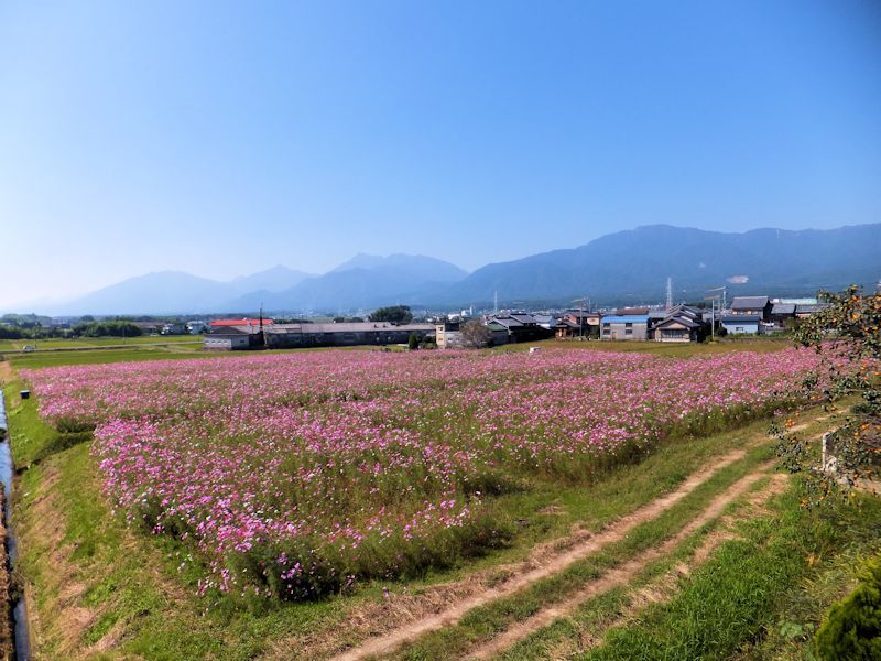 b0000209_22175390.jpg