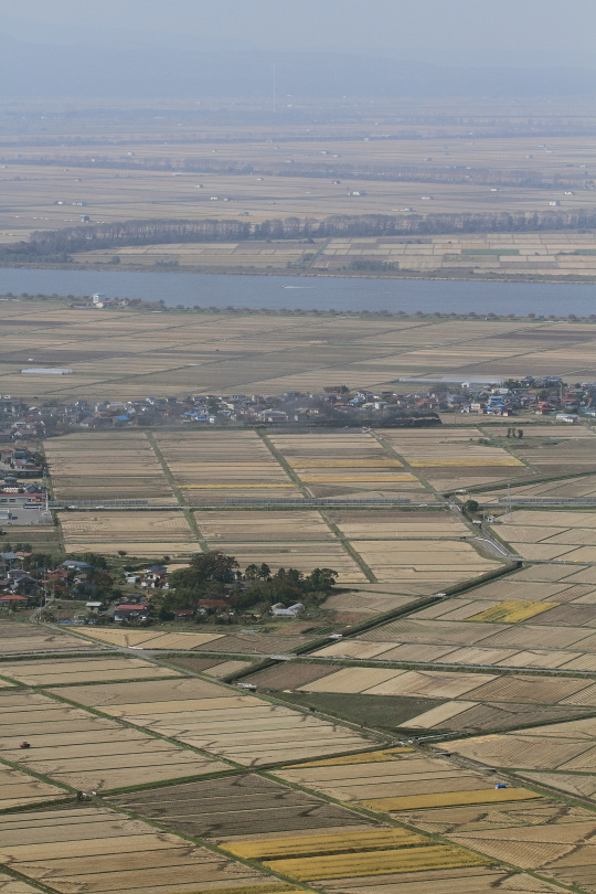 b0190710_2034887.jpg