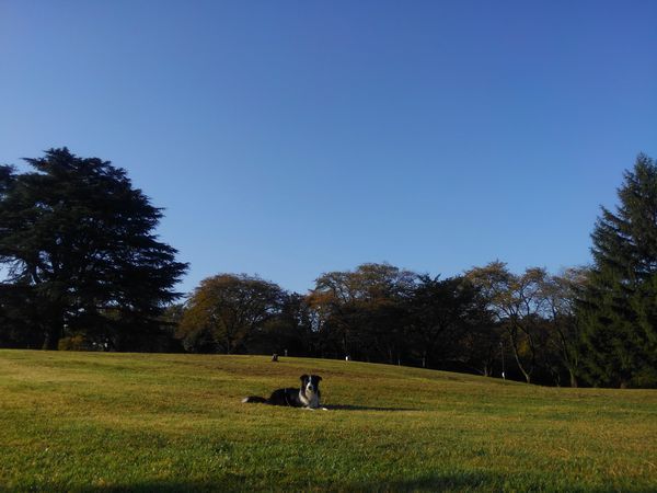 d0224111_21453285.jpg