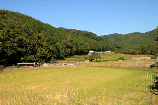 e0048413_1746557.jpg