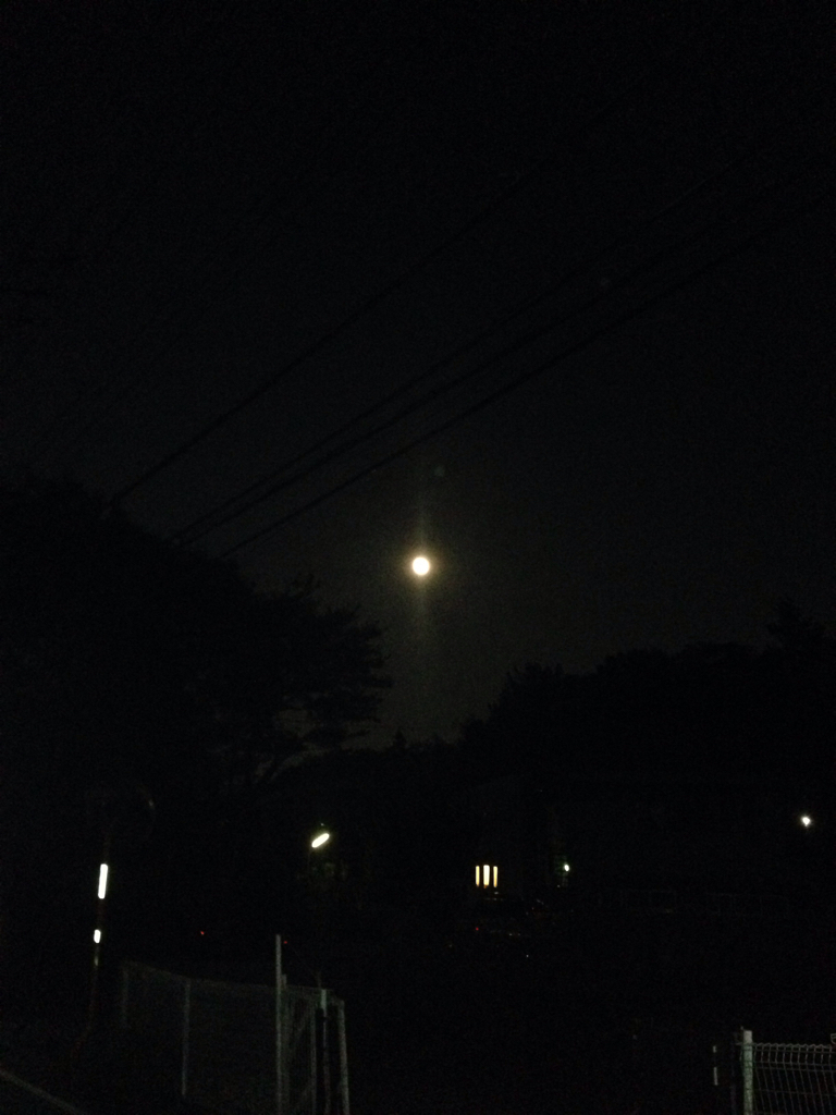 e0008118_21135386.jpg
