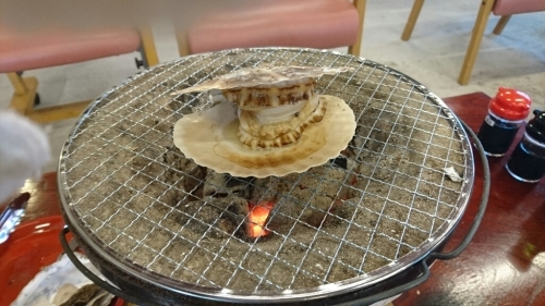 f0182618_14153329.jpg