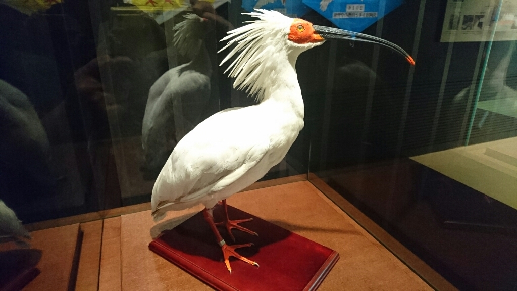 f0182618_16203520.jpg