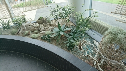 f0182618_16553652.jpg