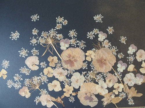 e0312121_23481149.gif