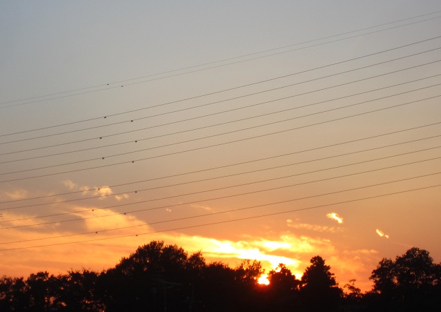 f0002833_17431372.jpg