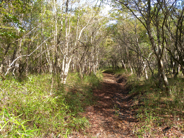 e0272335_190933.jpg