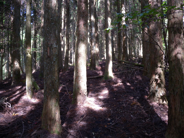 e0272335_19124357.jpg