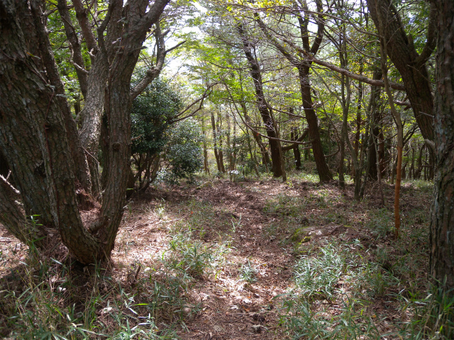 e0272335_1951154.jpg