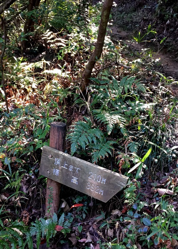 b0057140_22180866.jpg