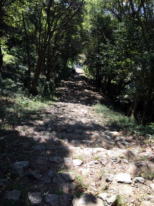b0057140_22224034.jpg