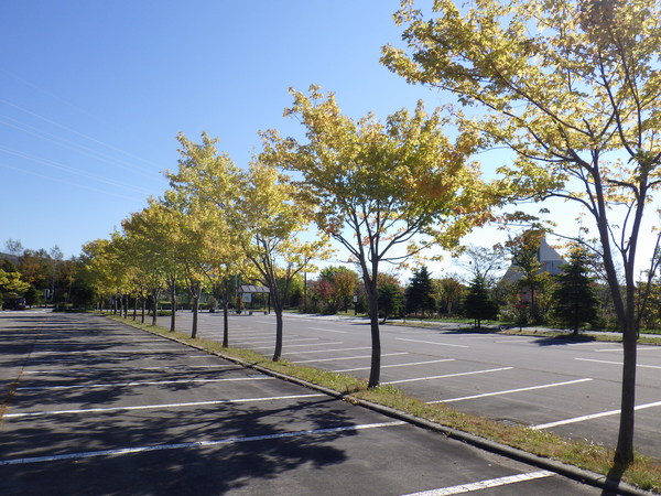 c0233141_1551599.jpg