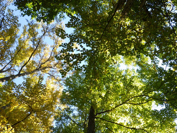 c0233141_15534131.jpg