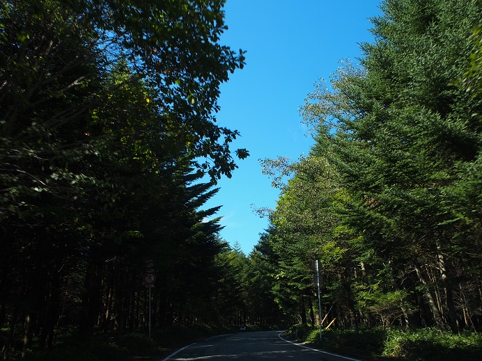 c0156345_1004815.jpg