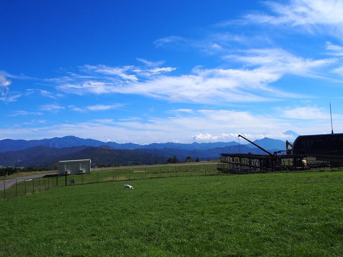 c0156345_1014559.jpg
