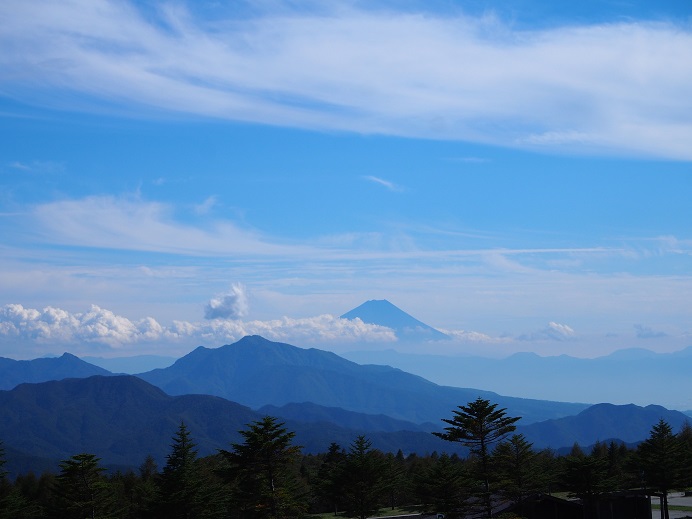 c0156345_1022727.jpg