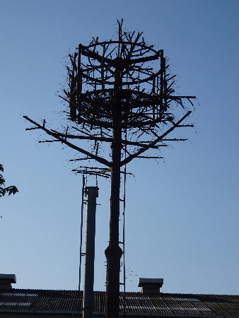 e0172950_2058643.jpg