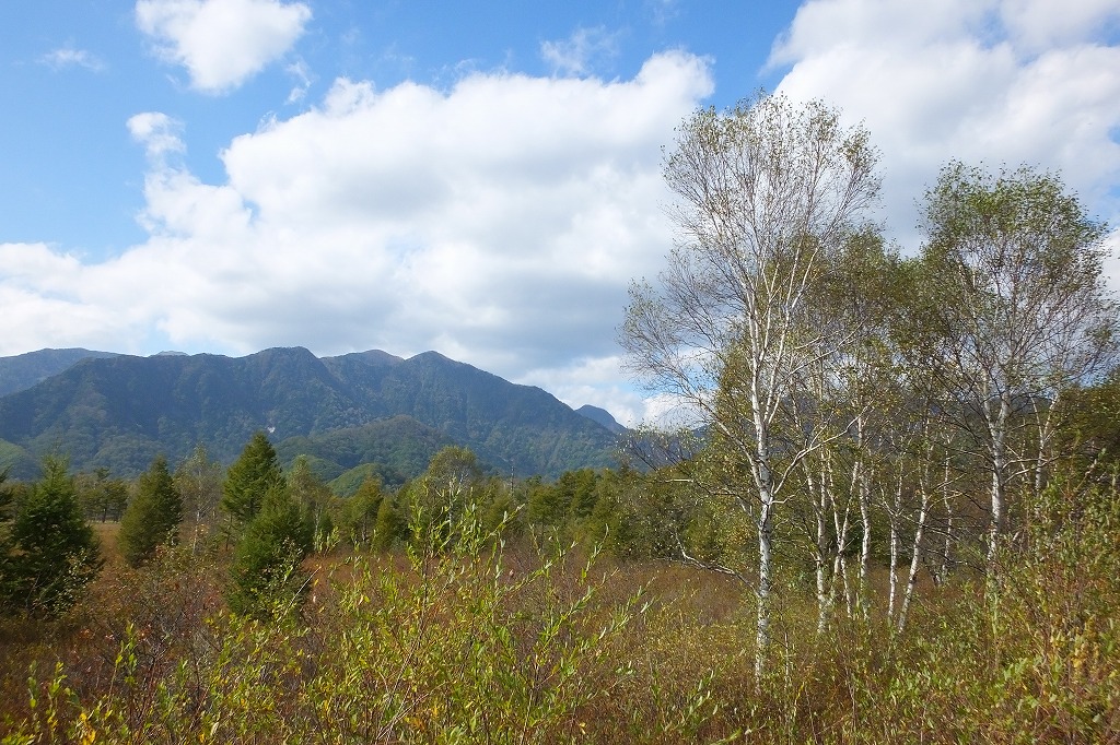 b0236251_15354464.jpg
