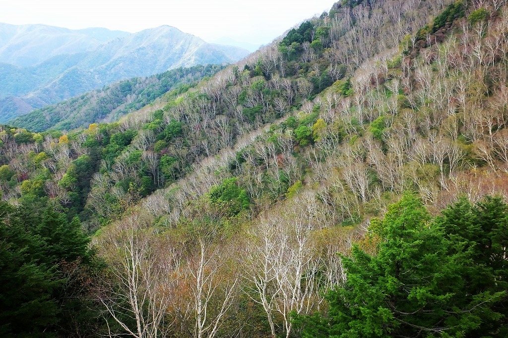b0236251_1543381.jpg