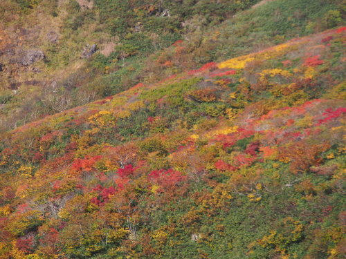 b0335256_22132295.jpg