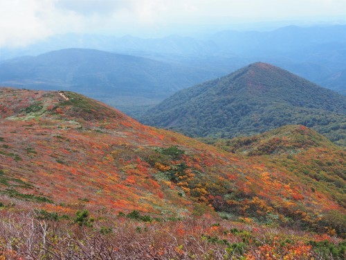 b0335256_22143615.jpg
