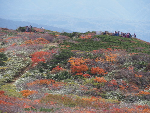 b0335256_22152008.jpg