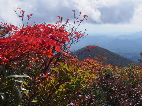 b0335256_22153565.jpg