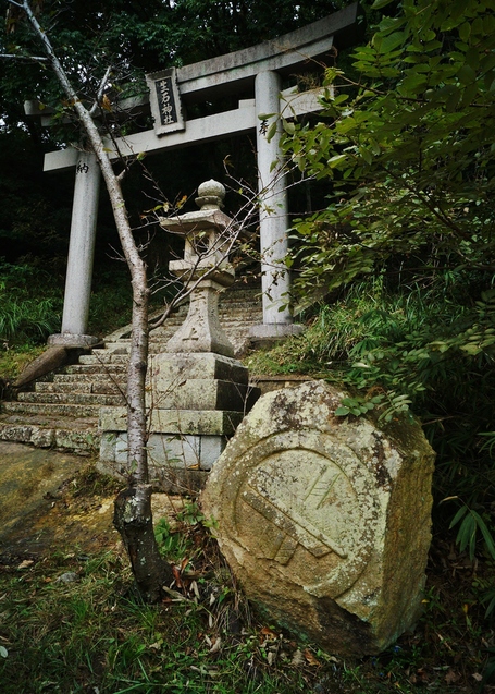 b0063958_8251788.jpg
