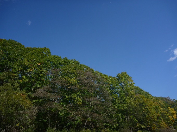 c0351262_03200969.jpg