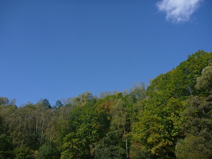 c0351262_03200991.jpg