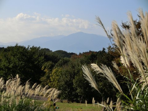 e0045768_22305742.jpg