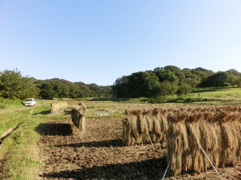 e0045768_2243418.jpg