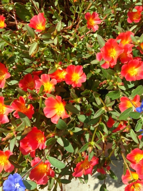 c0162773_02365240.jpg