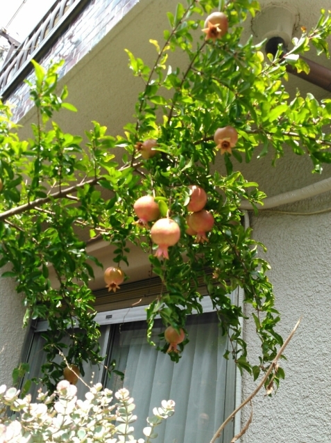 c0162773_02370677.jpg