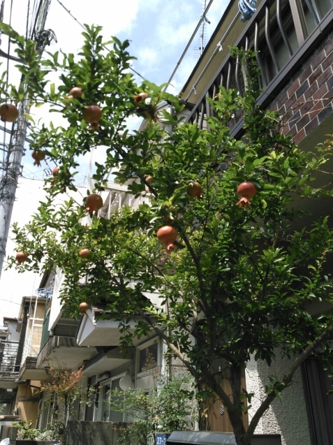c0162773_02371092.jpg