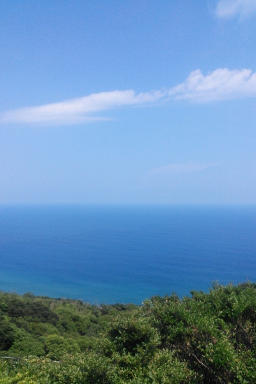 f0232876_3481586.jpg