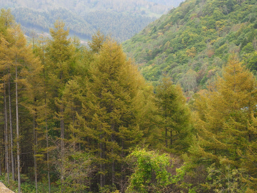 a0049978_23465325.jpg