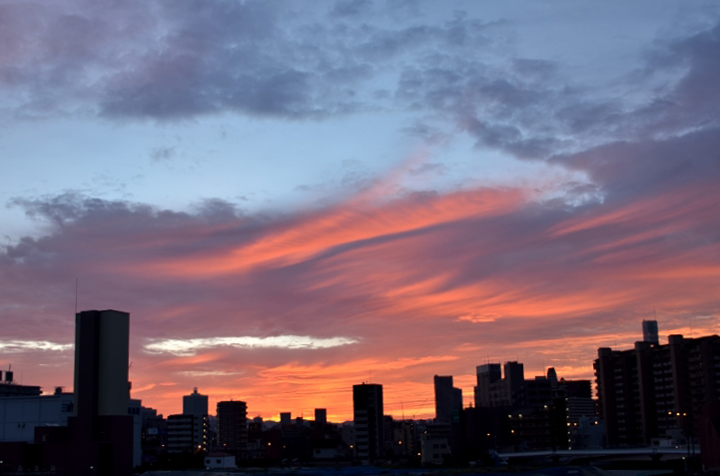 f0108478_1813264.jpg