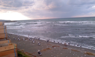 c0069380_13221302.jpg