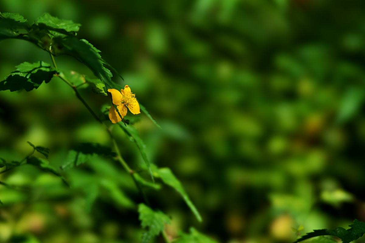 a0083081_2085434.jpg