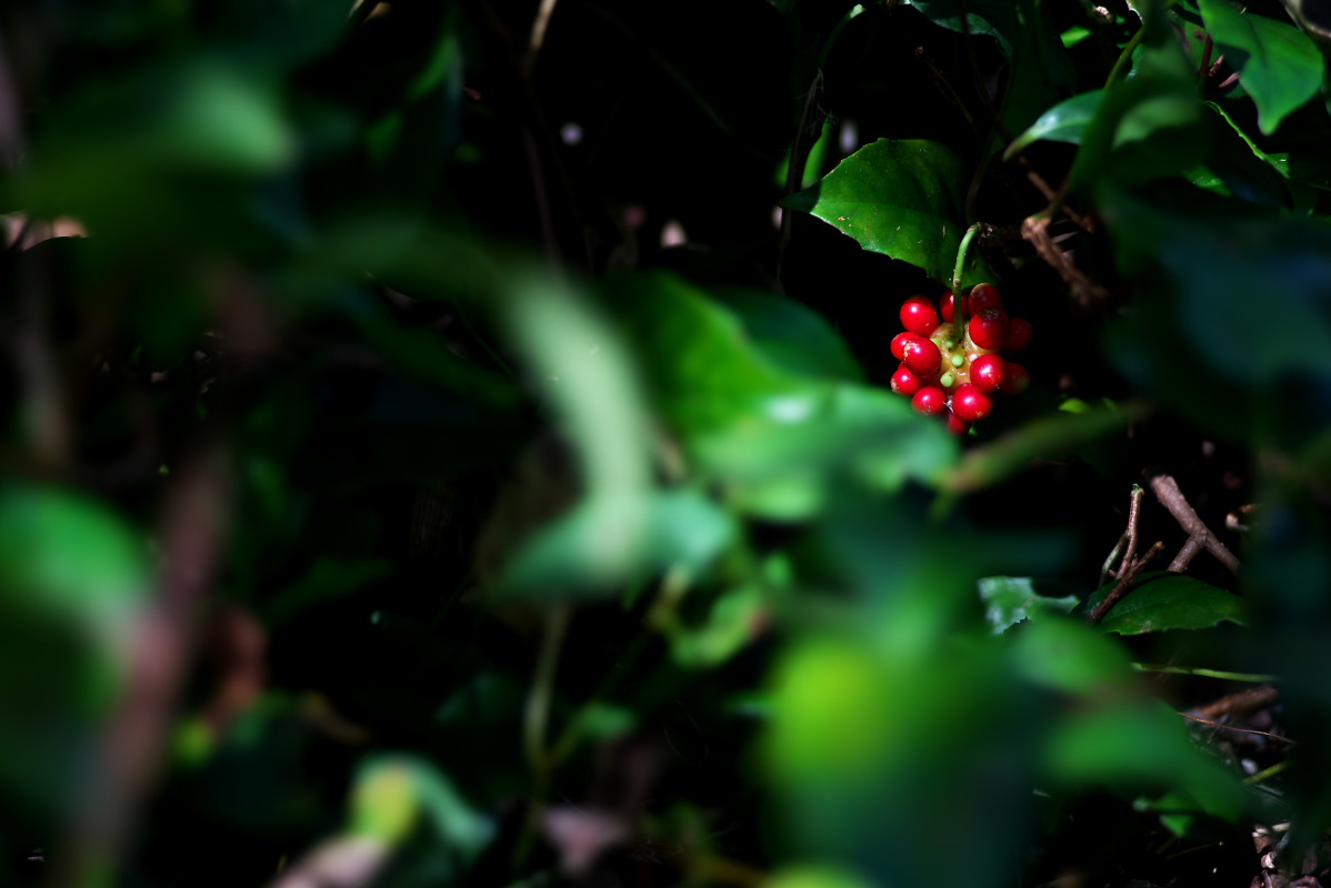 a0083081_209132.jpg