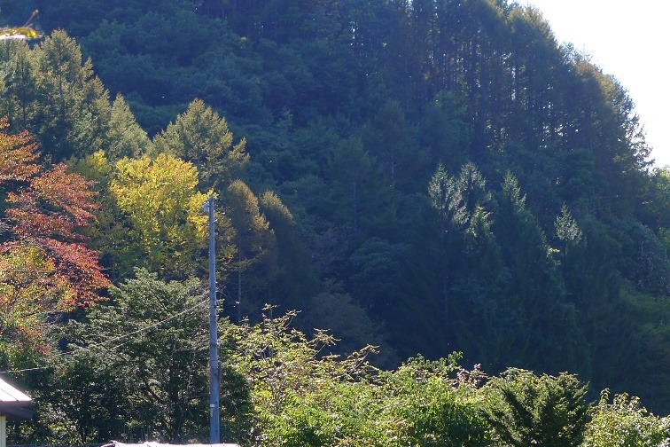 a0130586_1648627.jpg