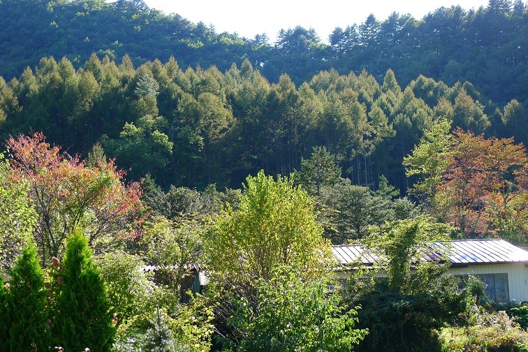 a0130586_16534585.jpg