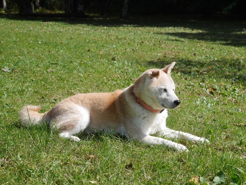 c0123890_211186.jpg